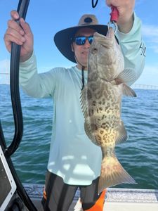 Gag grouper caught while fishing in Riverview FL