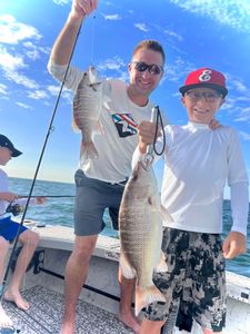 Two grey snapper fish caught in Riverview