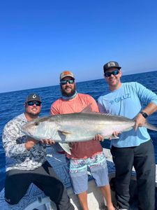 Angler with a huge greater amberjack fish caught in FL