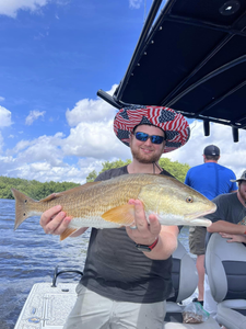 Fish-Species