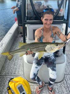 Snook fish caught while fishing in FL