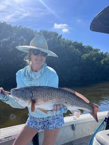 A single redfish caught in FL