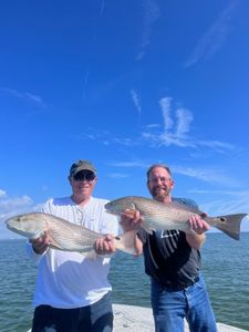 Two redfish, 25 inches each, caught while fishing in FL