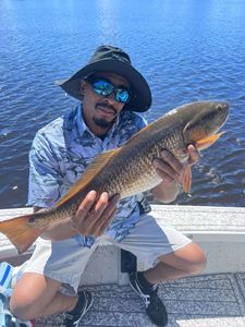 Redfish caught in FL
