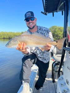 Redfish caught by angler in Riverview