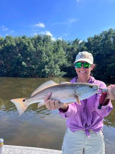 Redfish, 23-inch fish caught while fishing in FL