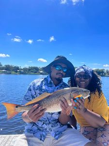 A lone redfish caught in Riverview