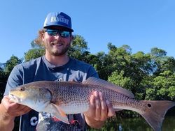 Redfish, 26 inches, caught in Riverview