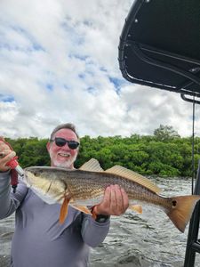 Redfish caught by angler in Riverview