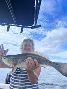 Redfish measuring 29 inches caught in Riverview