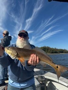 Redfish caught while fishing in Riverview FL
