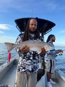 Redfish caught on fishing boat in Riverview FL waters