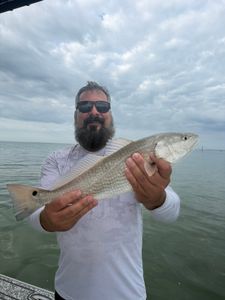 Redfish caught while fishing in Riverview FL waters