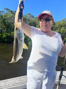 Solo angler at Riverview with a 15-inch catch