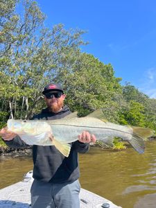 A single snook fish caught in Riverview