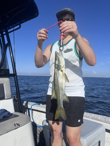 Snook-hunting success with the perfect bait cast in Riverview!
