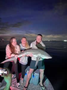 A single sandbar shark, 47 inches long, caught while fishing in Riverview