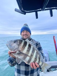 Sheepshead fish caught in Riverview