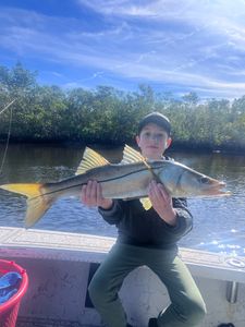 Snook, a 37-inch fish caught while fishing in FL
