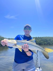 A snook fish caught in Riverview