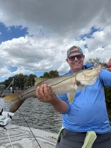 Angler holding freshly caught snook on fishing boat in Riverview FL