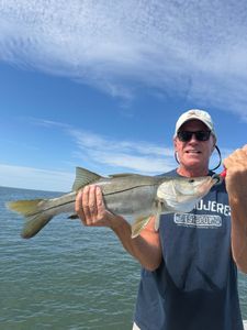 Snook fishing catch in Riverview FL waters