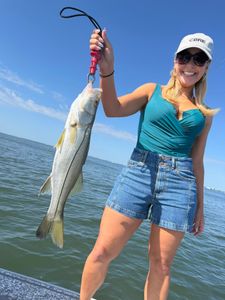 Freshly caught snook being held up on fishing trip in Riverview FL