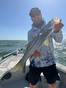 Angler holding caught snook fish on boat in Riverview FL waters