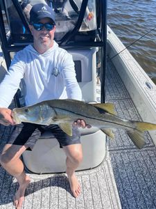 A single snook fish caught in FL