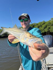 Photograph of a single snook fish caught while fishing in FL
