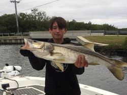 A snook fish caught in Riverview