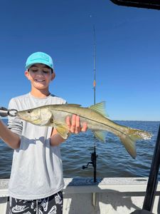 Snook caught by angler in Riverview