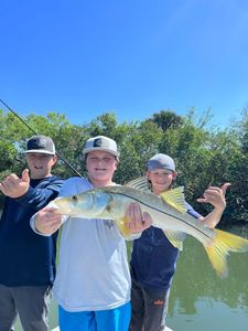 Snook fish caught in FL
