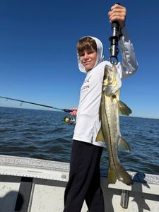 Snook fish caught in FL