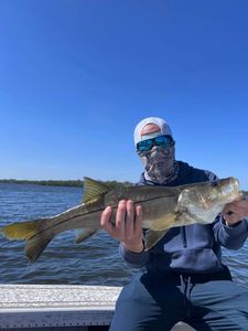 Snook fish caught in Riverview