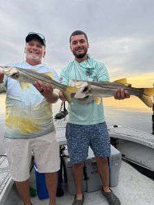 Two snook fish being caught during a fishing trip in FL