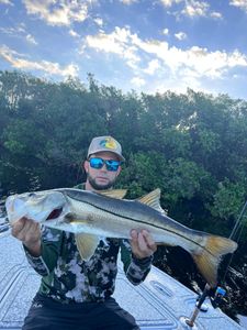 Snook fishing in FL