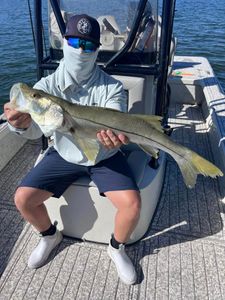 Snook fishing in FL