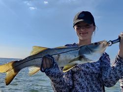 Snook fish caught while fishing in Riverview