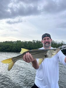Snook caught while fishing in Riverview