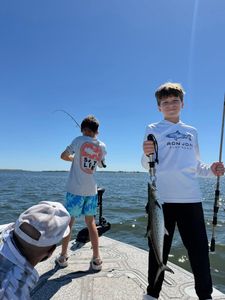 Spanish Mackerel caught in FL