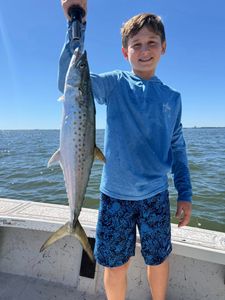 A Spanish Mackerel fish caught while fishing in Riverview