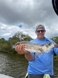 Speckled trout catch displayed on fishing boat in Riverview FL