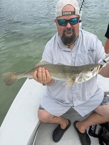 Speckled trout catch from fishing trip in Riverview FL waters