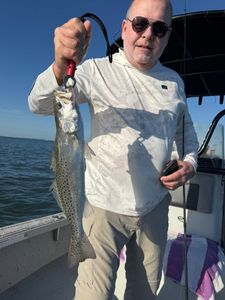 Freshly caught speckled trout displayed on fishing boat in Riverview FL waters