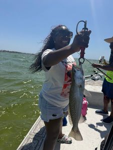 Speckled trout caught while fishing in Riverview FL waters