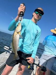 Speckled trout caught while fishing in Riverview FL