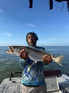 Speckled trout caught while fishing in Riverview FL
