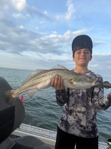 Speckled trout catch displayed on fishing boat in Riverview FL