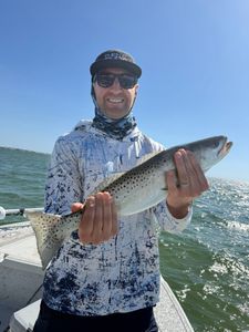 Speckled trout catch displayed on fishing boat in Riverview FL waters